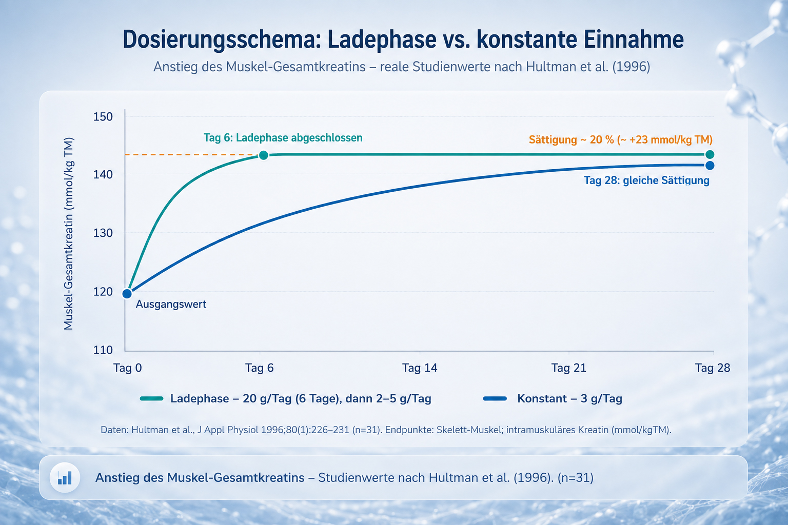 Dosierungsschema Kreatin